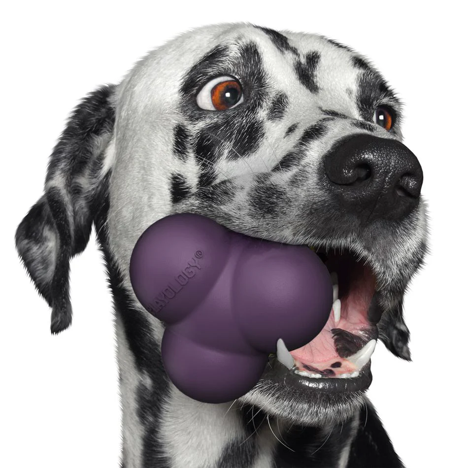 Squeaky Bounce Ball - Image 4
