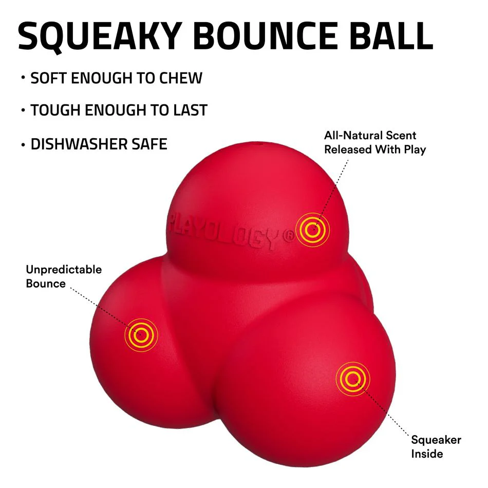 Squeaky Bounce Ball - Image 9