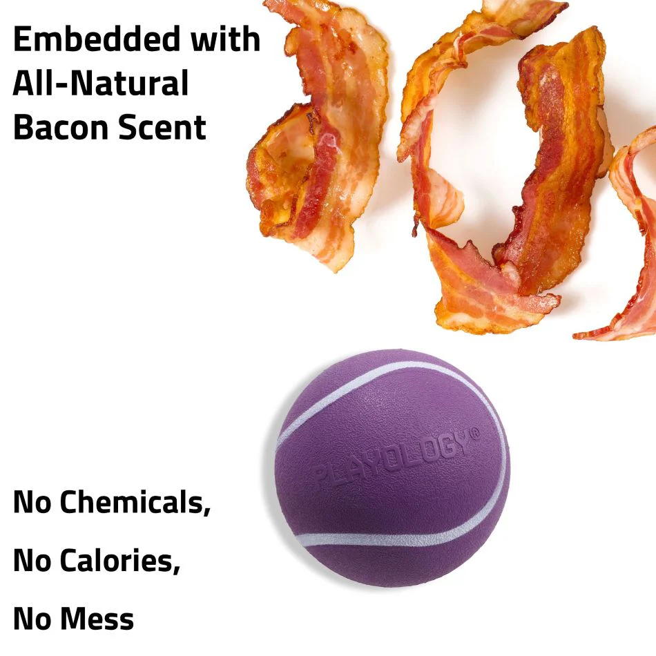 Squeaky Chew Ball - Image 14