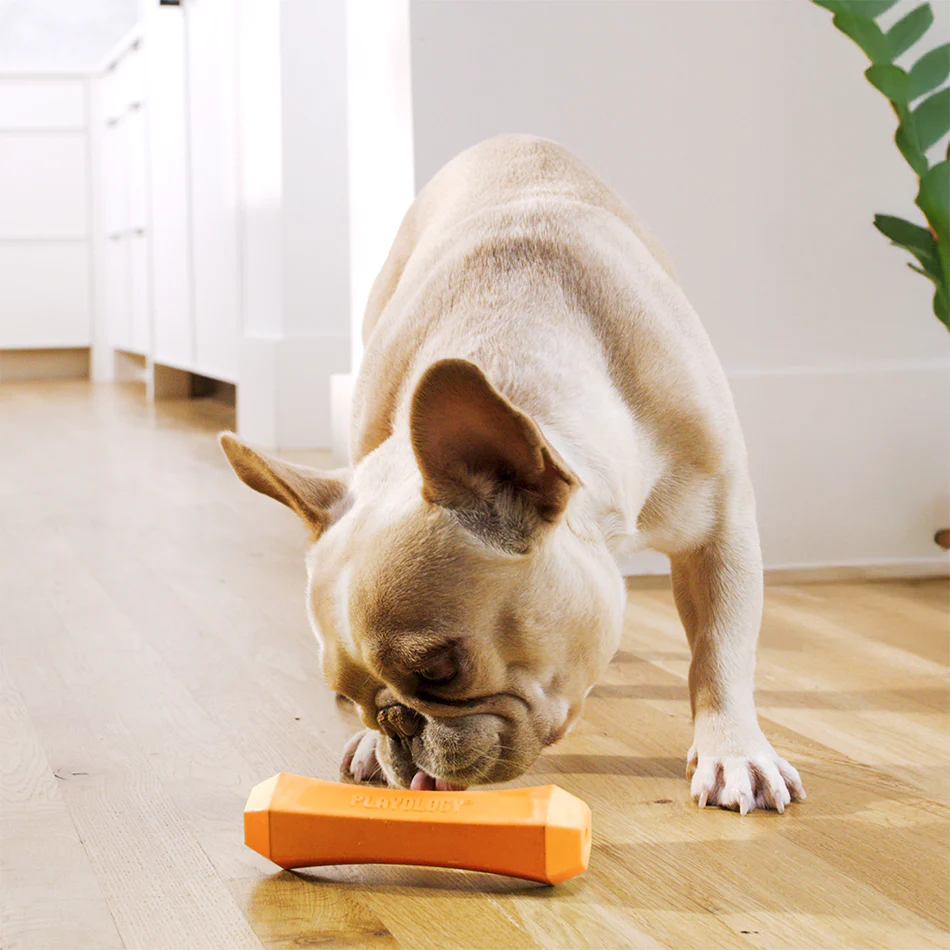 Squeaky Chew Stick - Image 18