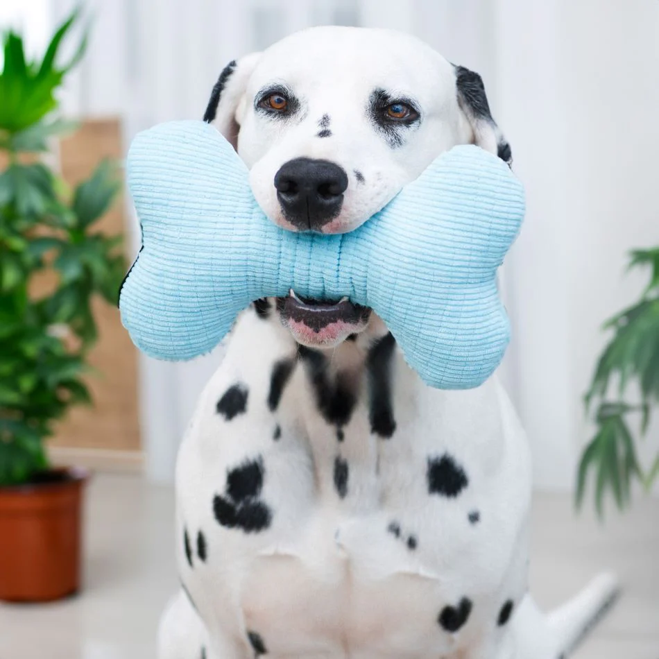 Plush Squeaky Bone - Image 4
