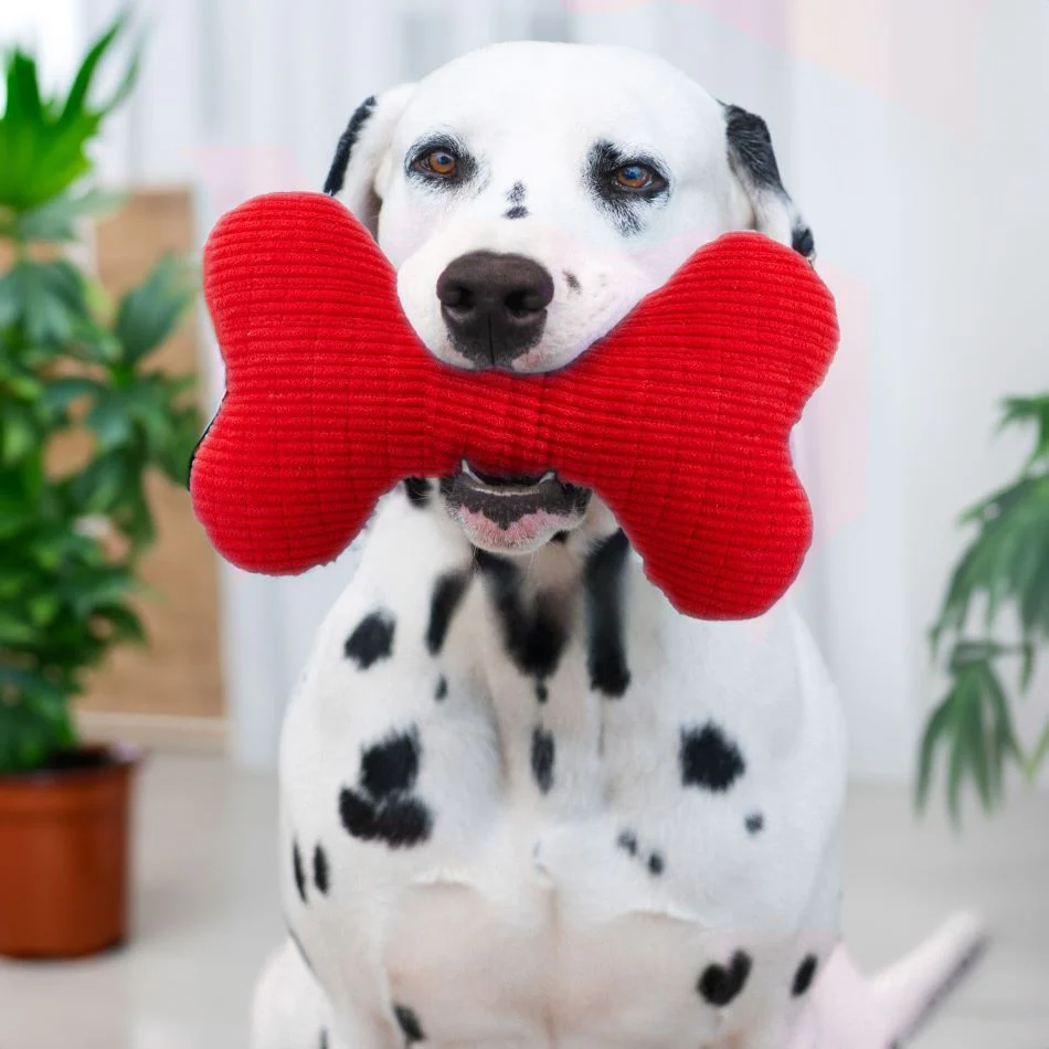 Plush Squeaky Bone - Image 8