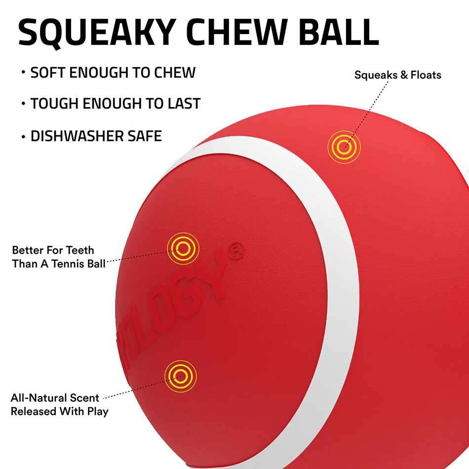 Squeaky Chew Ball - Image 4