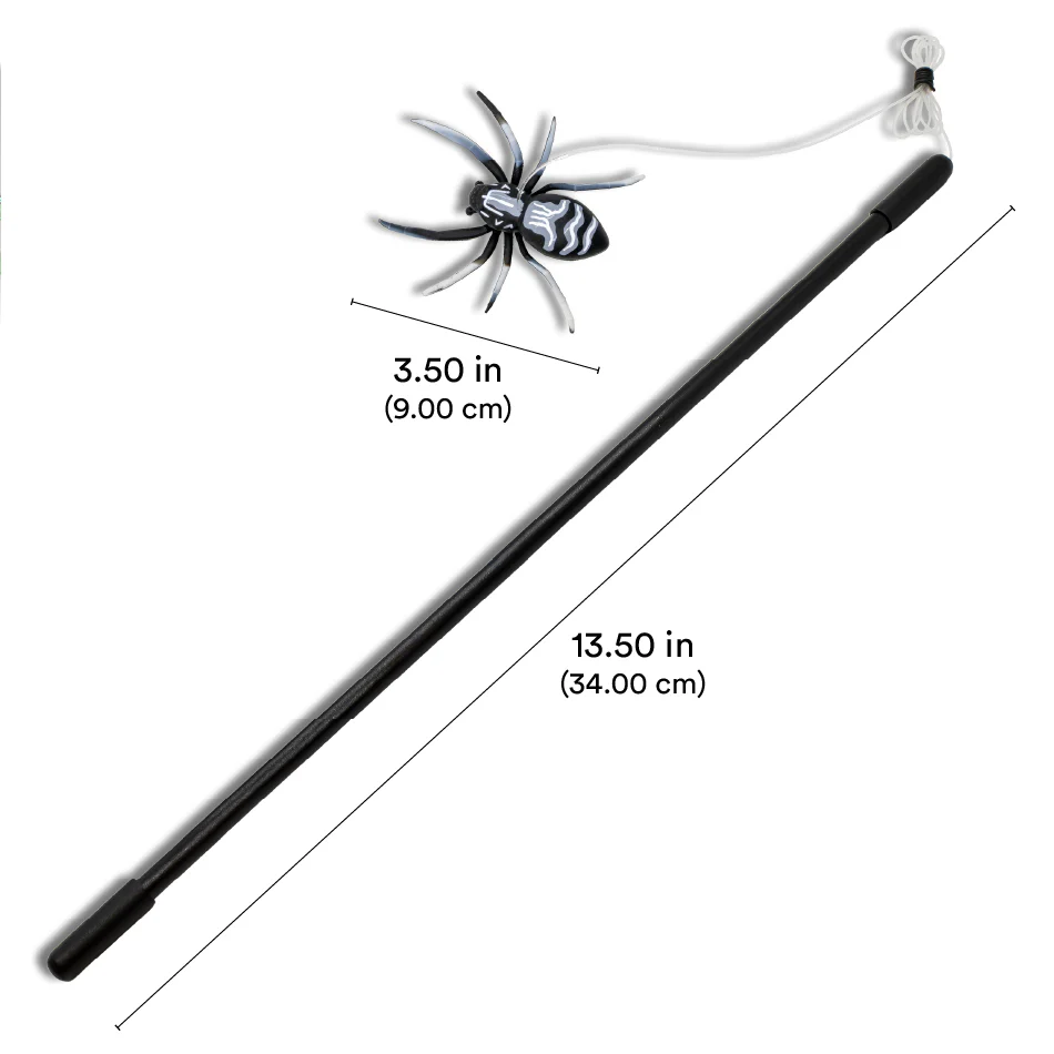 Spider Teaser - Image 4