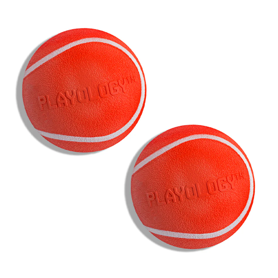 Squeaky Chew Ball 2-Pack - Medium - Image 3