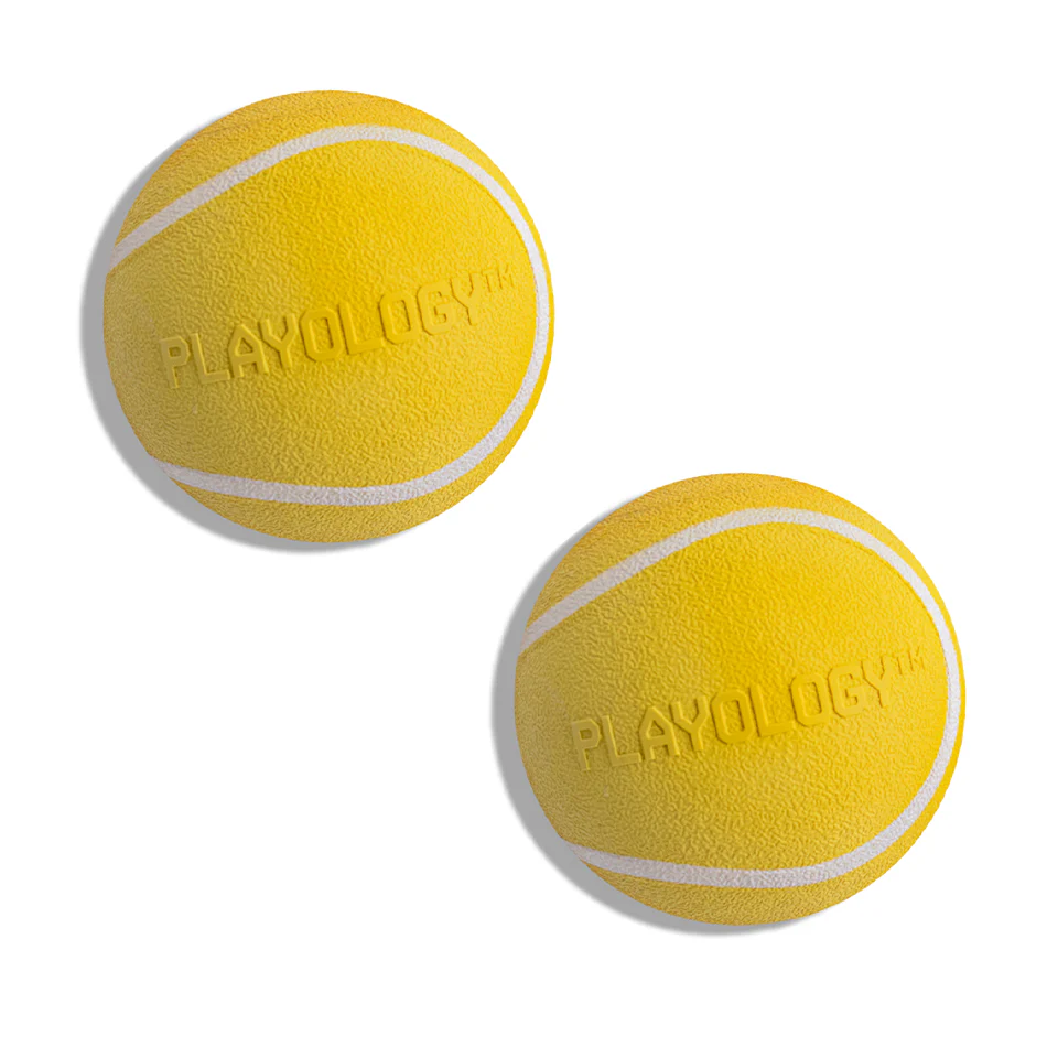 Squeaky Chew Ball 2-Pack - Medium - Image 8