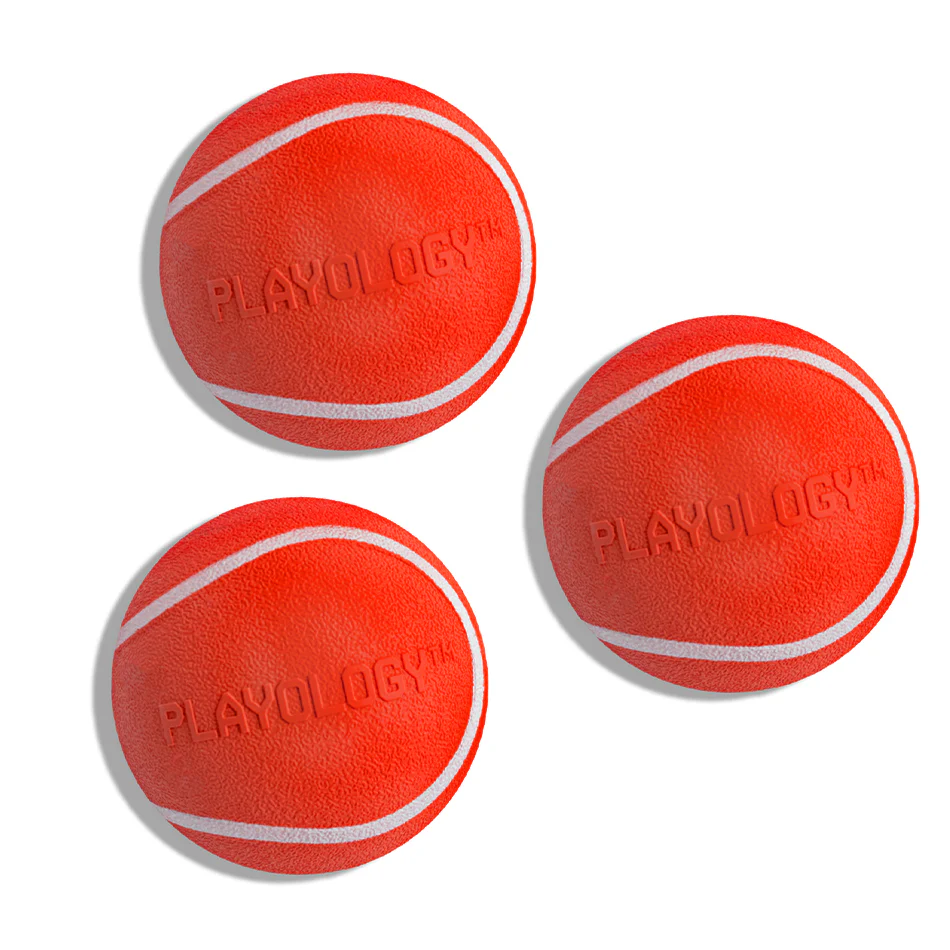 Squeaky Chew Ball 3-Pack Small - Image 6