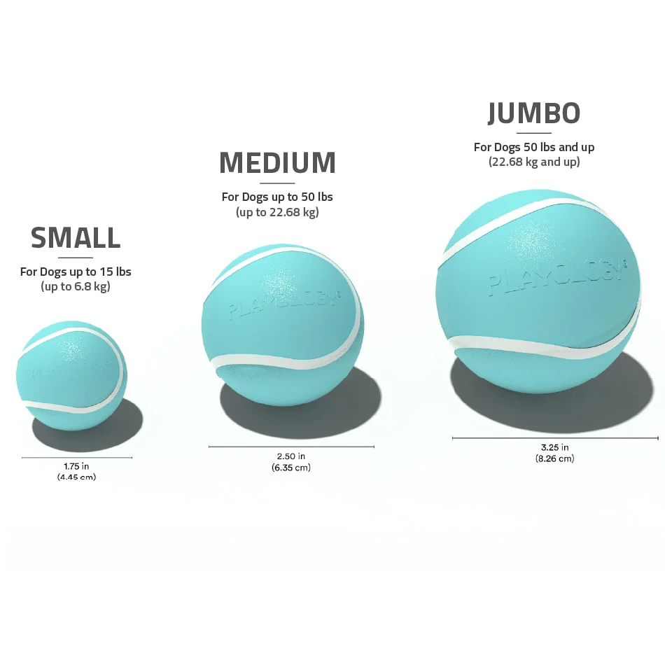 Squeaky Chew Ball - Image 9