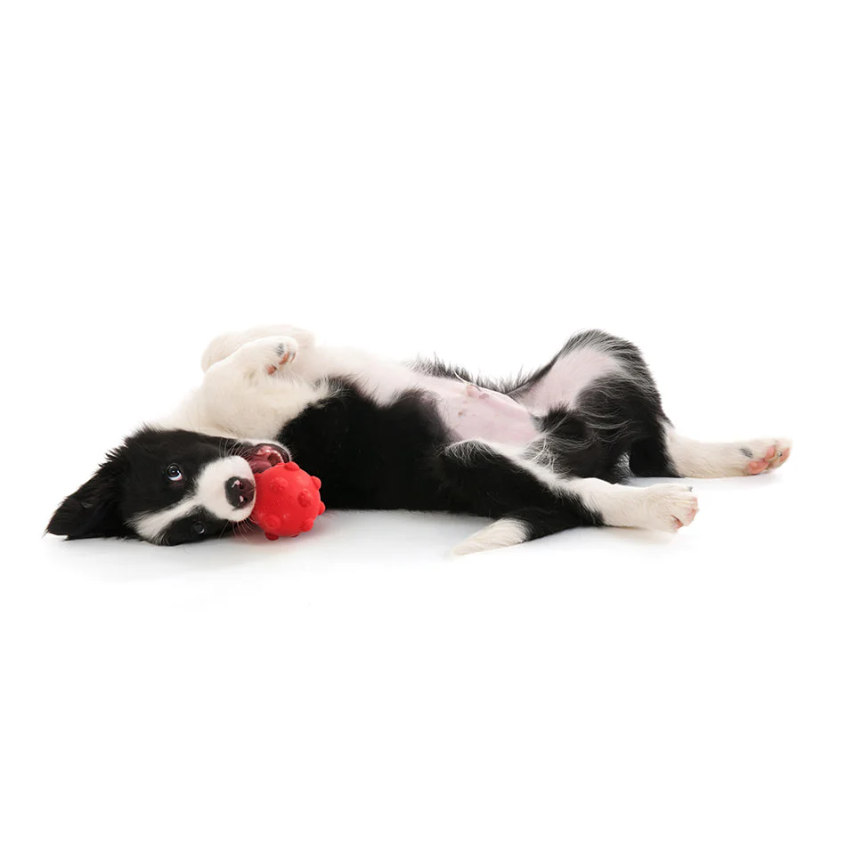 Teething Ball - Image 3