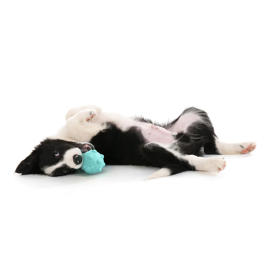 Teething Ball - Image 7
