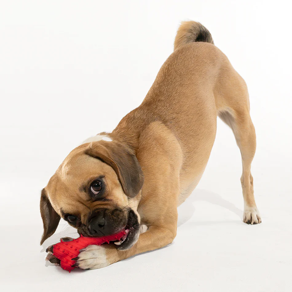 Teething Bone - Image 8